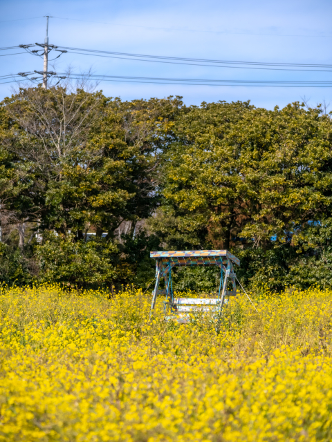 고흐의정원