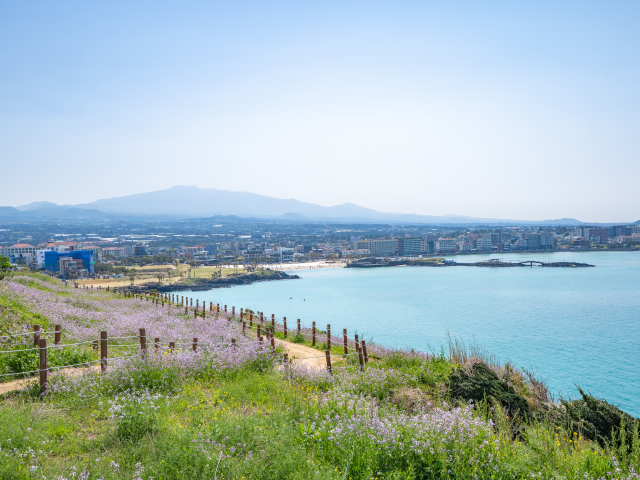 함덕해변