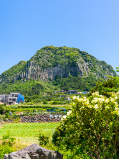 용머리해안