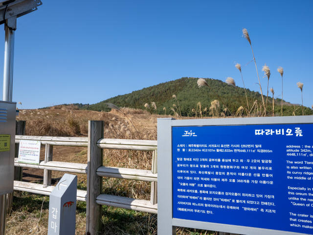 따라비오름