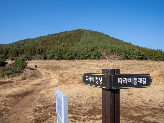 따라비오름