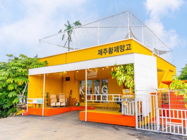 제주황제망고