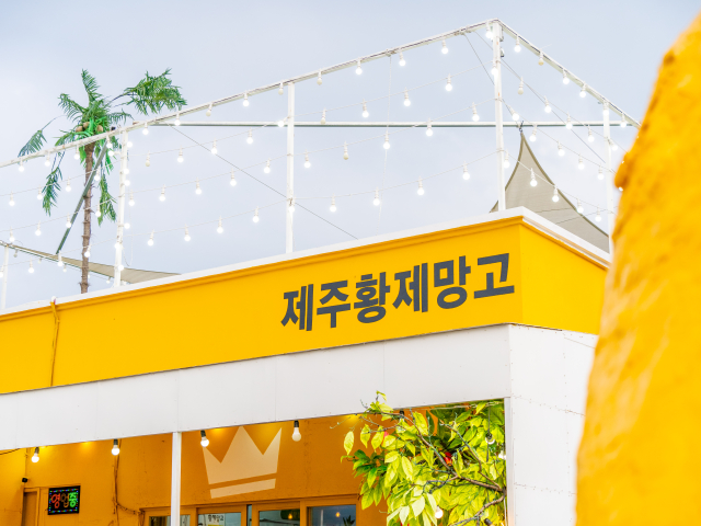 제주황제망고