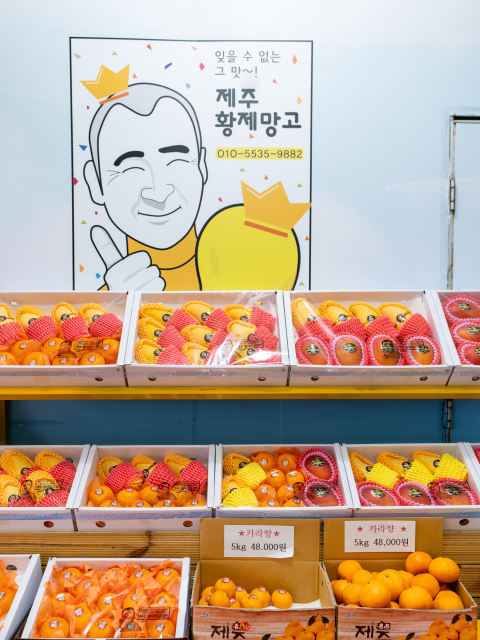 제주황제망고