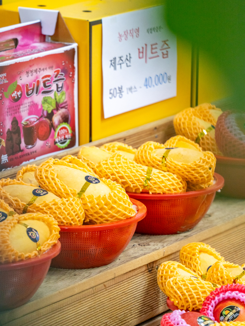 제주황제망고