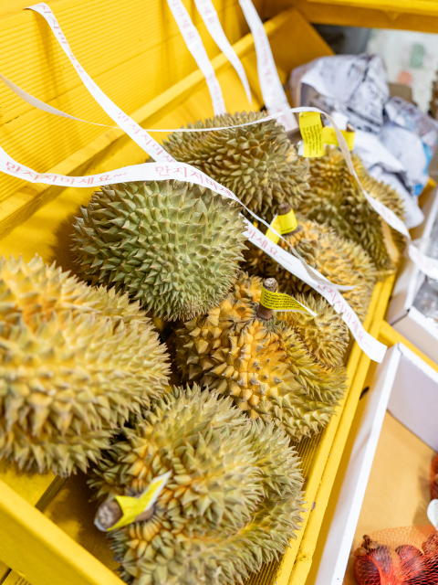 제주황제망고
