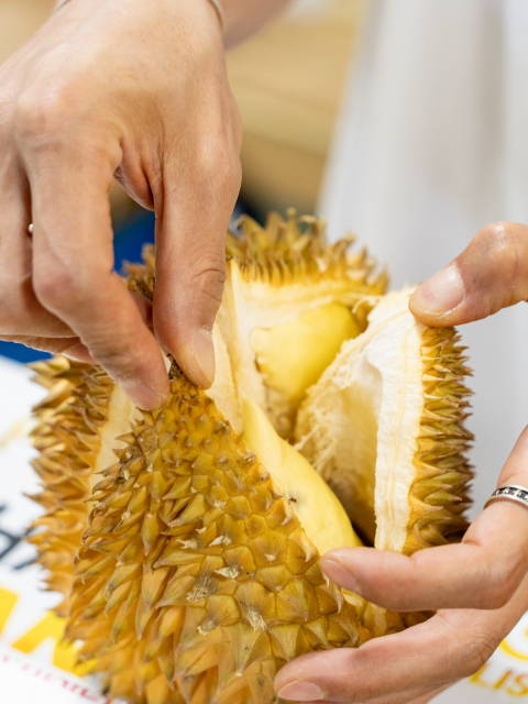 제주황제망고