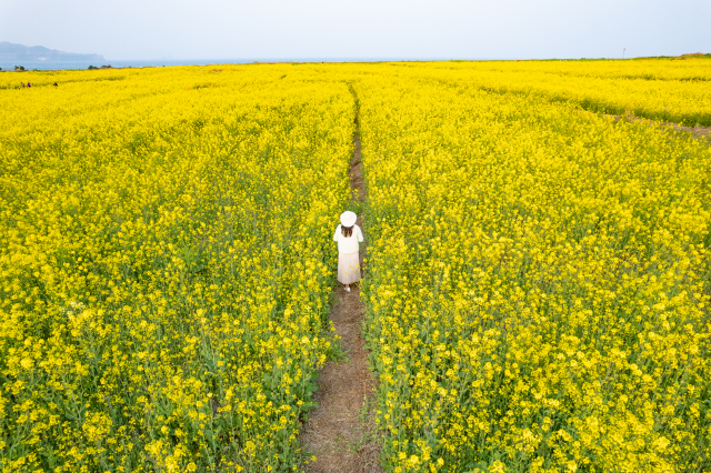 가파도