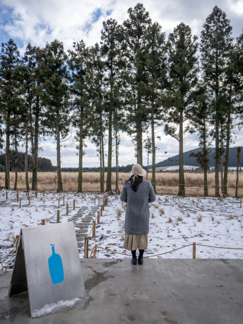 블루보틀