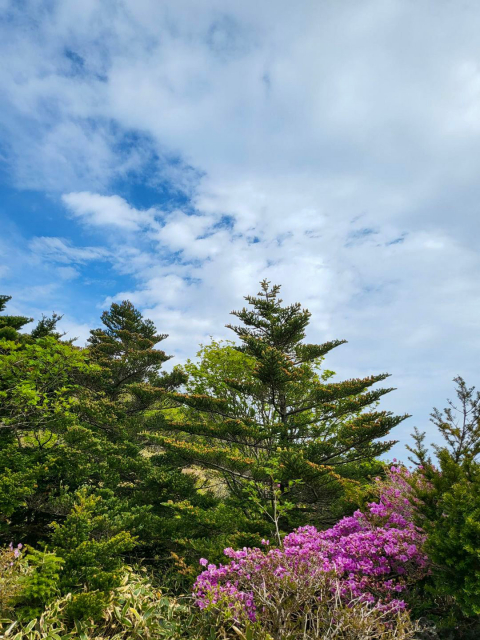 진달래밭 대피소