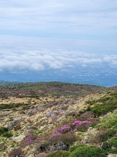 진달래밭 대피소