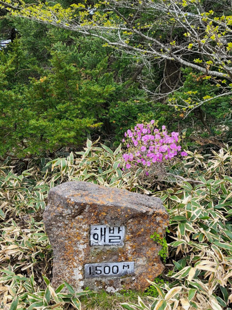 진달래밭 대피소