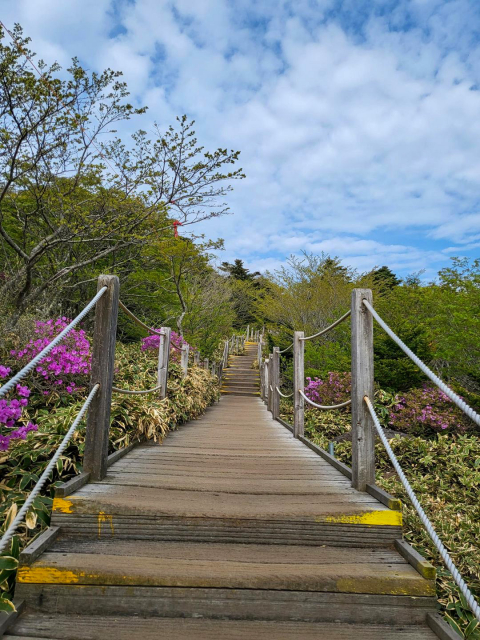 진달래밭 대피소