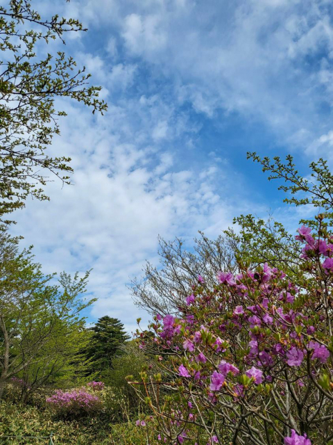 진달래밭 대피소