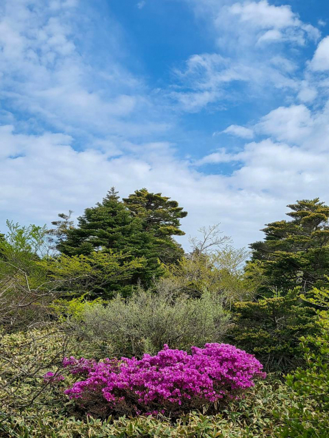 진달래밭 대피소