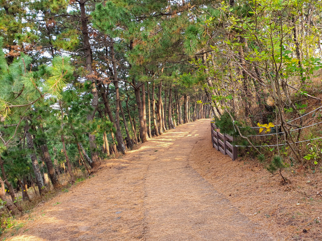 송악산