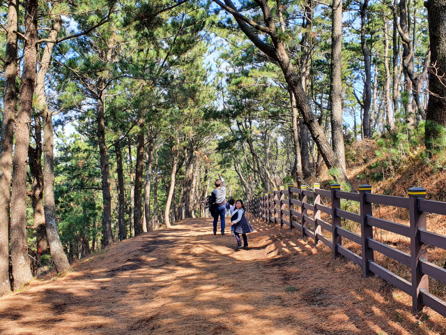 송악산