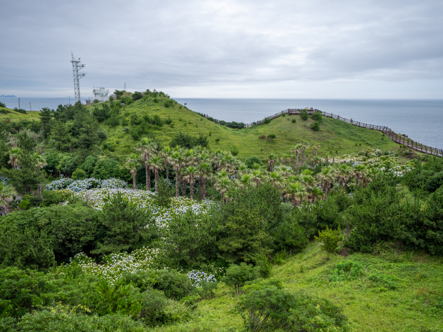 송악산