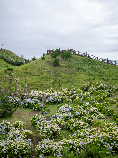 송악산