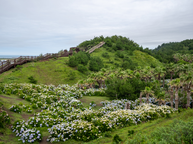 송악산