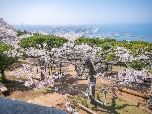 사라봉