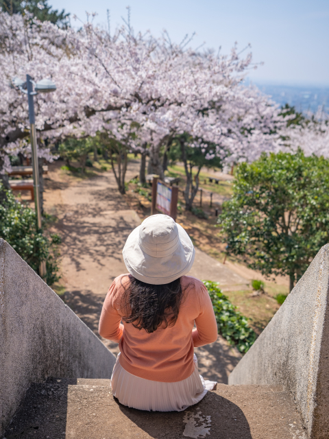 사라봉