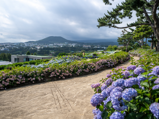 숨도