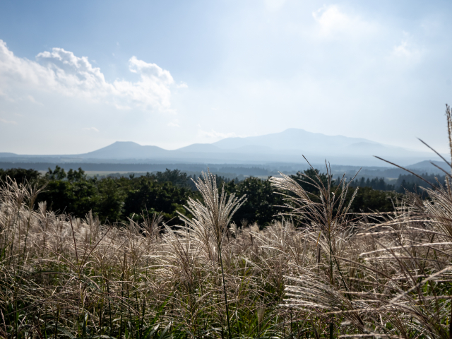 산굼부리