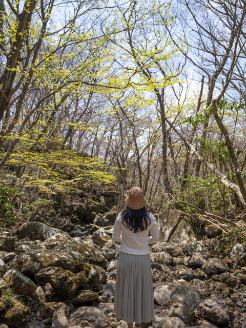 서귀포자연휴양림