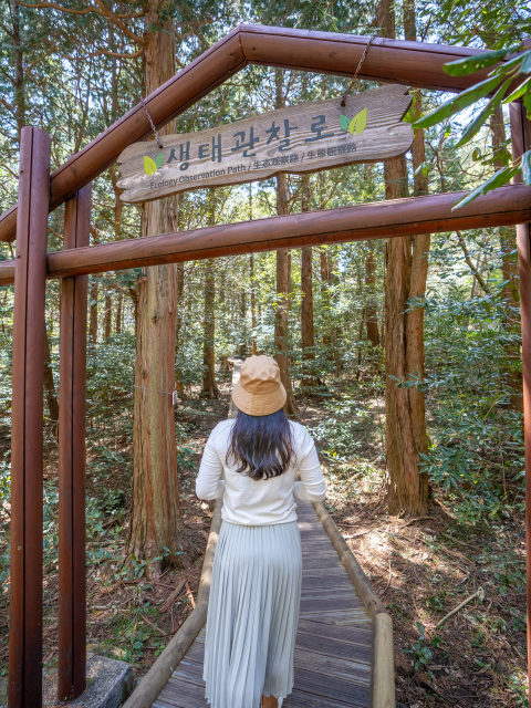 서귀포자연휴양림