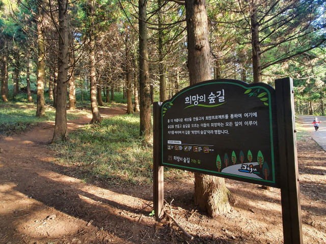 금오름