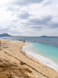 산호해변