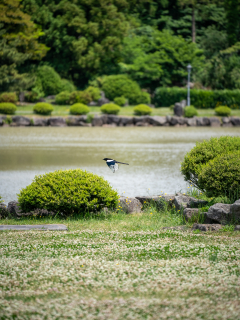 새미은총의 동산