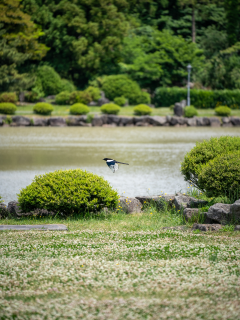 새미은총의 동산