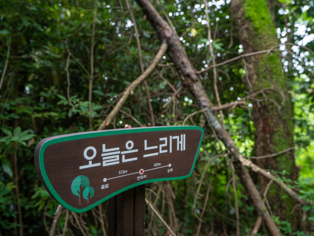 한라산아래첫마을 고배기동산