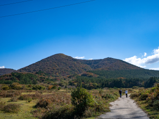 제주 애월 노꼬메오름 등산코스 소요시간·주차 총정리