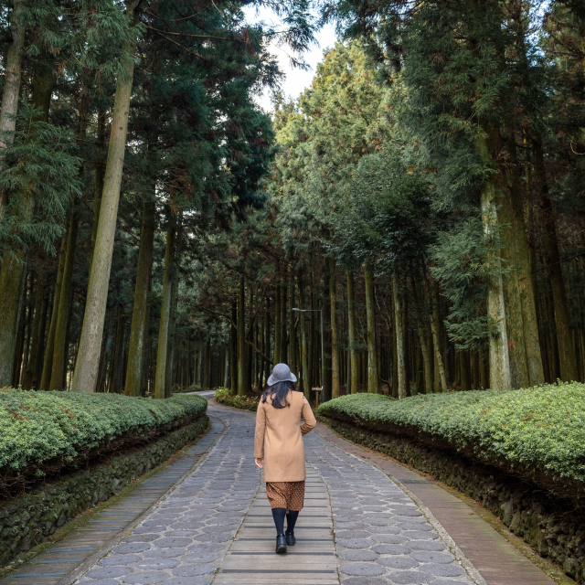 한라산이 만든 자연의 정원 절물자연휴양림을 거닐다.