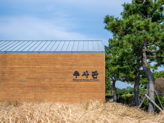 조용한 제주 서귀포 힐링 여행지, 추사 김정희 유배지 '제주 추사관'