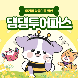 댕댕투어패스 24시간 이용권(1days)