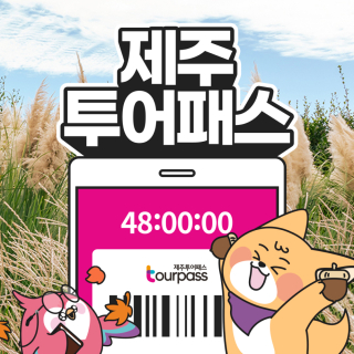 제주투어패스 타임제로 24시간권