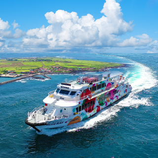 마라도/가파도 정기 여객선 이용권