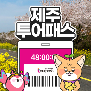 제주투어패스 48시간 이용권(2days)