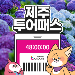  제주투어패스 120시간 이용권(5days)